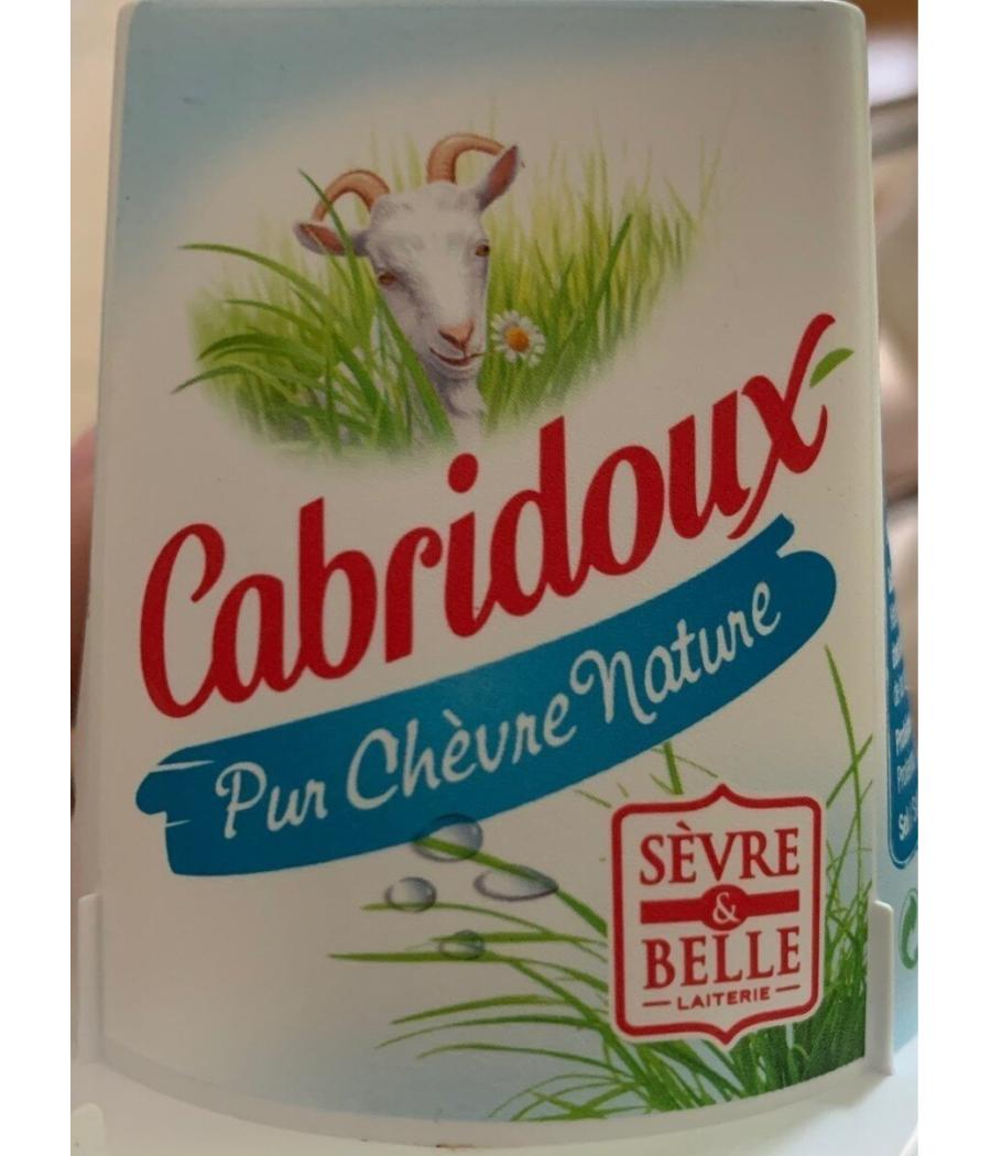 LE CABRIDOUX FROMAGE DE CHEVRE A TARTINER SEVRE ET BELLE 125G LE CABRIDOUX FROMAGE DE CHEVRE A TARTINER SEVRE ET BELLE 125G