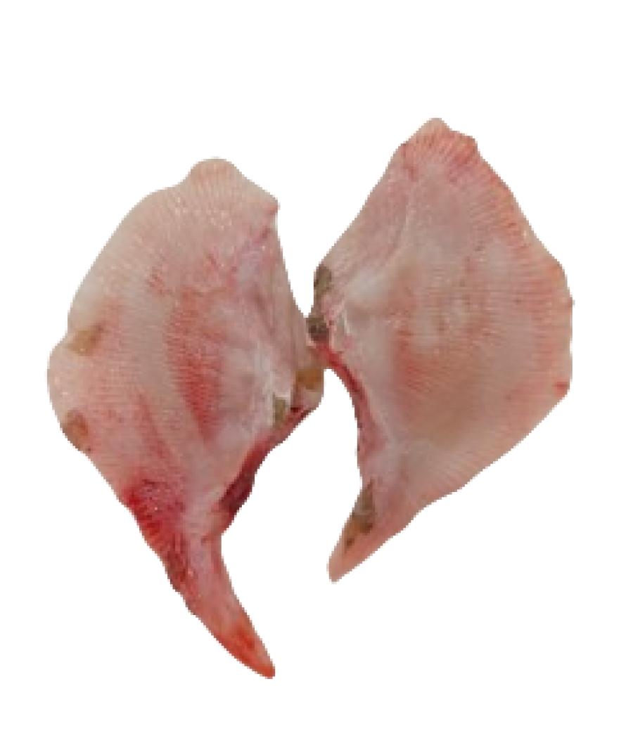 AILE RAIE DOUCE NON PELEE CALIBRE 1/3  PECHE EN MER OCEAN ATLANTIQUE NORD-EST COLIS DE 2KG PACK D... AILE RAIE DOUCE NON PELEE CALIBRE 1/3  PECHE EN MER OCEAN ATLANTIQUE NORD-EST COLIS DE 2KG PACK D...