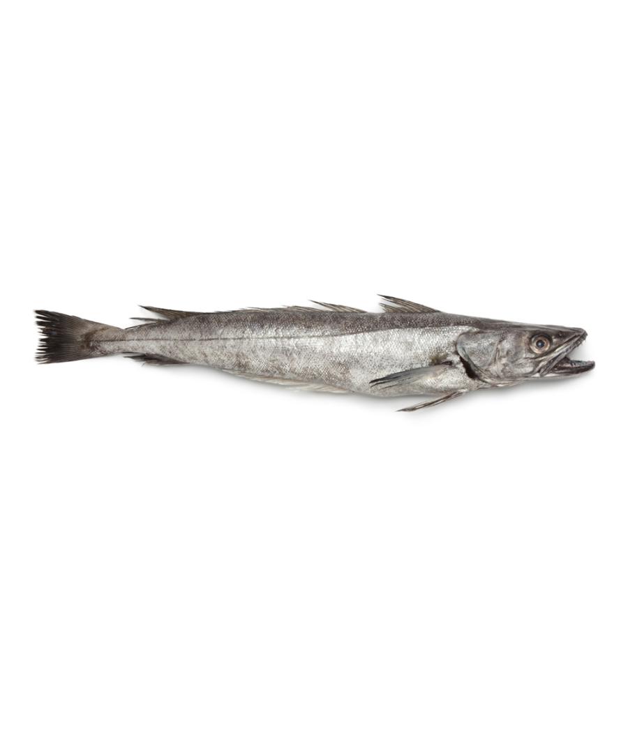 MERLU  CALIBRE 1.8/2.5 PECHE EN MER OCEAN ATLANTIQUE NORD-EST COLIS DE 2,15KG PACK DE 2.15 MERLU  CALIBRE 1.8/2.5 PECHE EN MER OCEAN ATLANTIQUE NORD-EST COLIS DE 2,15KG PACK DE 2.15