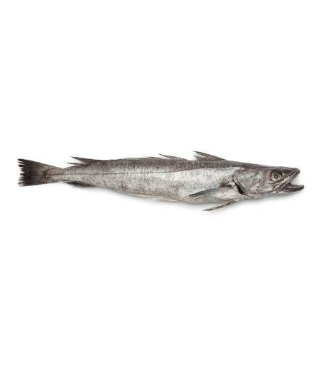 MERLU  CALIBRE 1.8/2.5 PECHE EN MER OCEAN ATLANTIQUE NORD-EST COLIS DE 2,15KG PACK DE 2.15