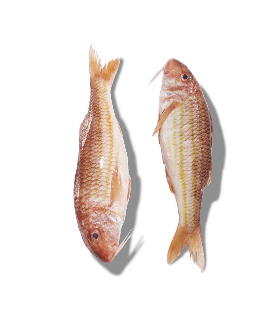 ROUGET BARBET FRITURE PECHE EN MER MER NOIRE ET MEDITERRANNEE COLIS DE 4KG PACK DE 4 ROUGET BARBET FRITURE PECHE EN MER MER NOIRE ET MEDITERRANNEE COLIS DE 4KG PACK DE 4