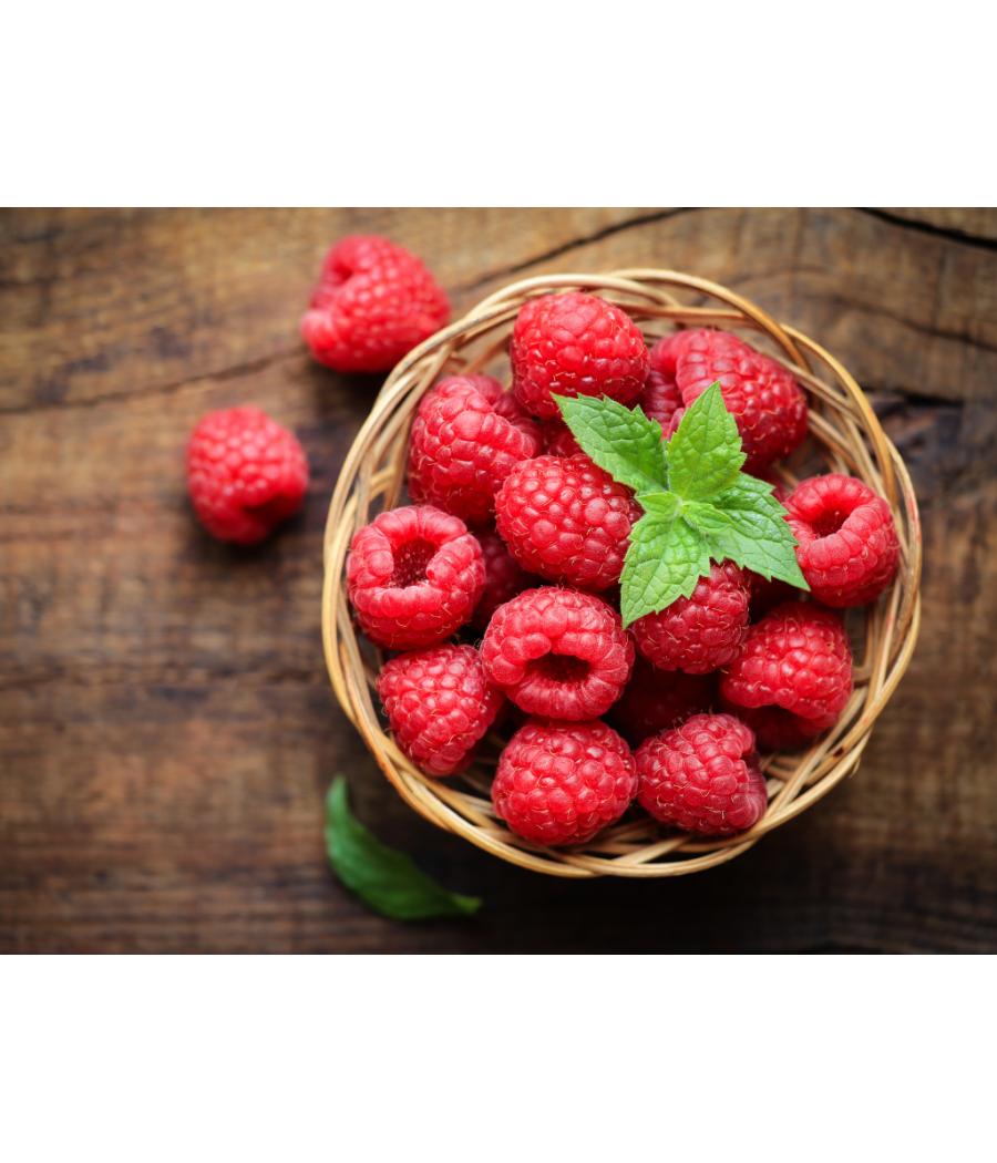 FRAMBOISE CATEGORIE 1. ORIGINE PORTUGAL BARQUETTE DE 0,125 KG VENDU PAR PACK DE 12 PIECES PACK DE ... FRAMBOISE CATEGORIE 1. ORIGINE PORTUGAL BARQUETTE DE 0,125 KG VENDU PAR PACK DE 12 PIECES PACK DE ...