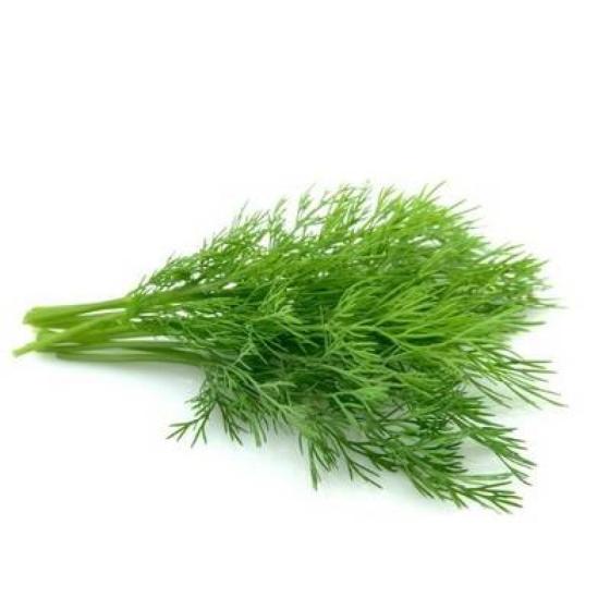 ANETH BARQUETTE DE 0,03 KG VENDU PAR PACK DE 30 PIECES PACK DE 30