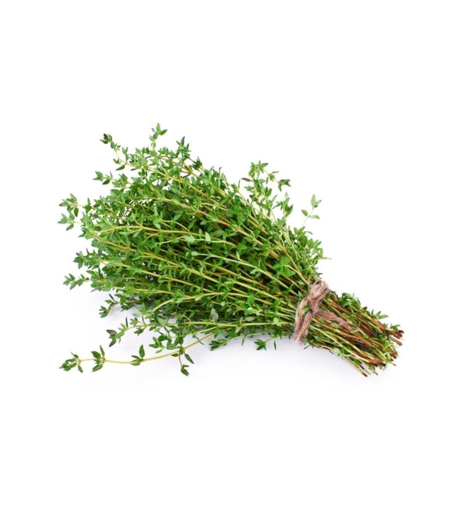 THYM FRAIS ORIGINE : UE BARQUETTE DE 0,03 KG VENDU PAR PACK DE 30 PIECES PACK DE 30 THYM FRAIS ORIGINE : UE BARQUETTE DE 0,03 KG VENDU PAR PACK DE 30 PIECES PACK DE 30