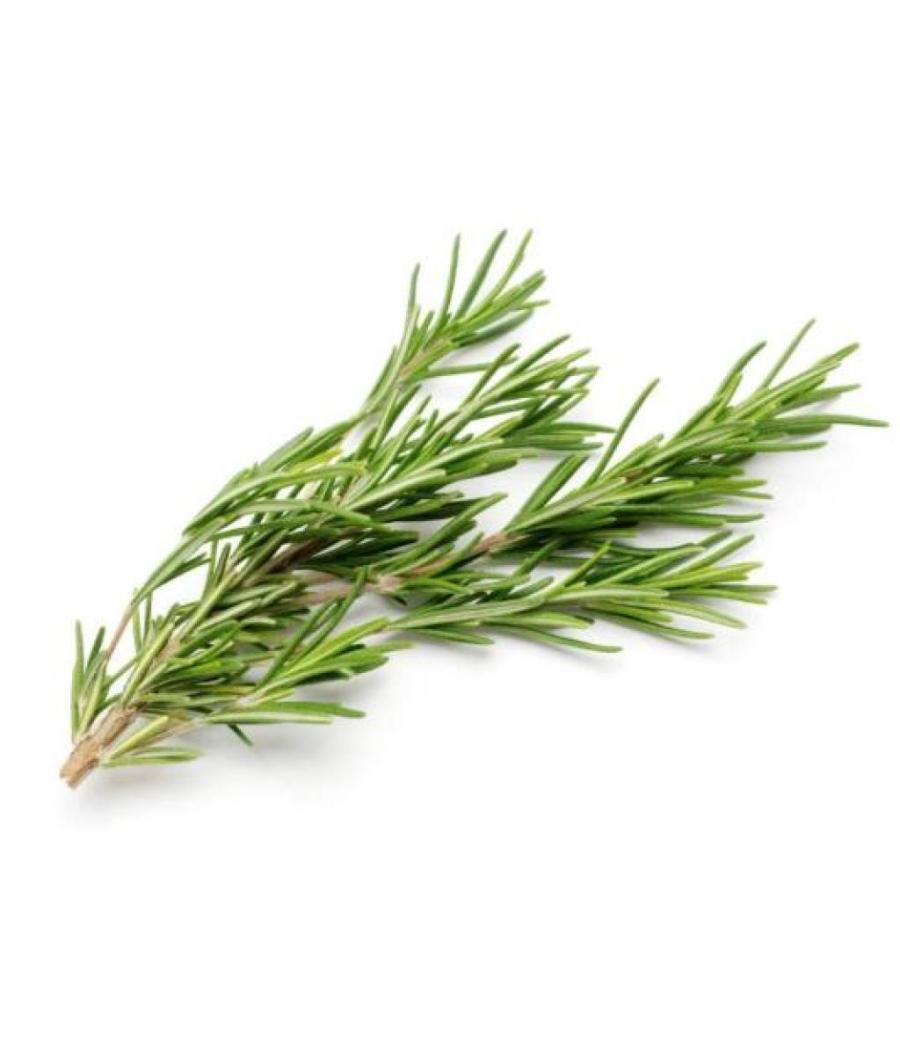 ROMARIN FRAIS ORIGINE : UE BARQUETTE DE 0,03 KG VENDU PAR PACK DE 30 PIECES PACK DE 30 ROMARIN FRAIS ORIGINE : UE BARQUETTE DE 0,03 KG VENDU PAR PACK DE 30 PIECES PACK DE 30