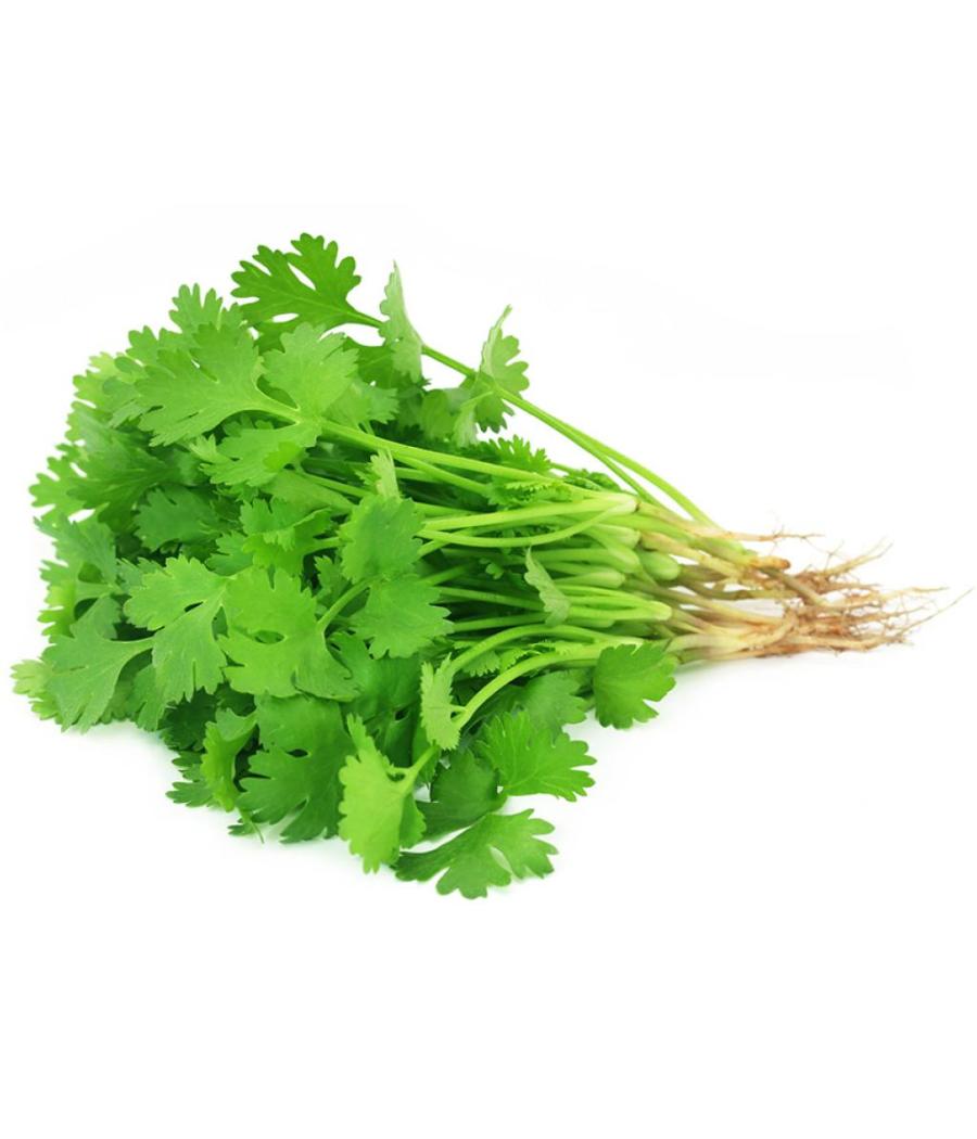 CORIANDRE BARQUETTE DE 0,03 KG VENDU PAR PACK DE 30 PIECES PACK DE 30 CORIANDRE BARQUETTE DE 0,03 KG VENDU PAR PACK DE 30 PIECES PACK DE 30