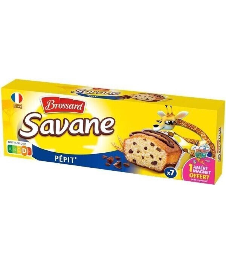 GATEAU BROSSARD SAVANE PEPIT 150G  5X30G GATEAU BROSSARD SAVANE PEPIT 150G  5X30G