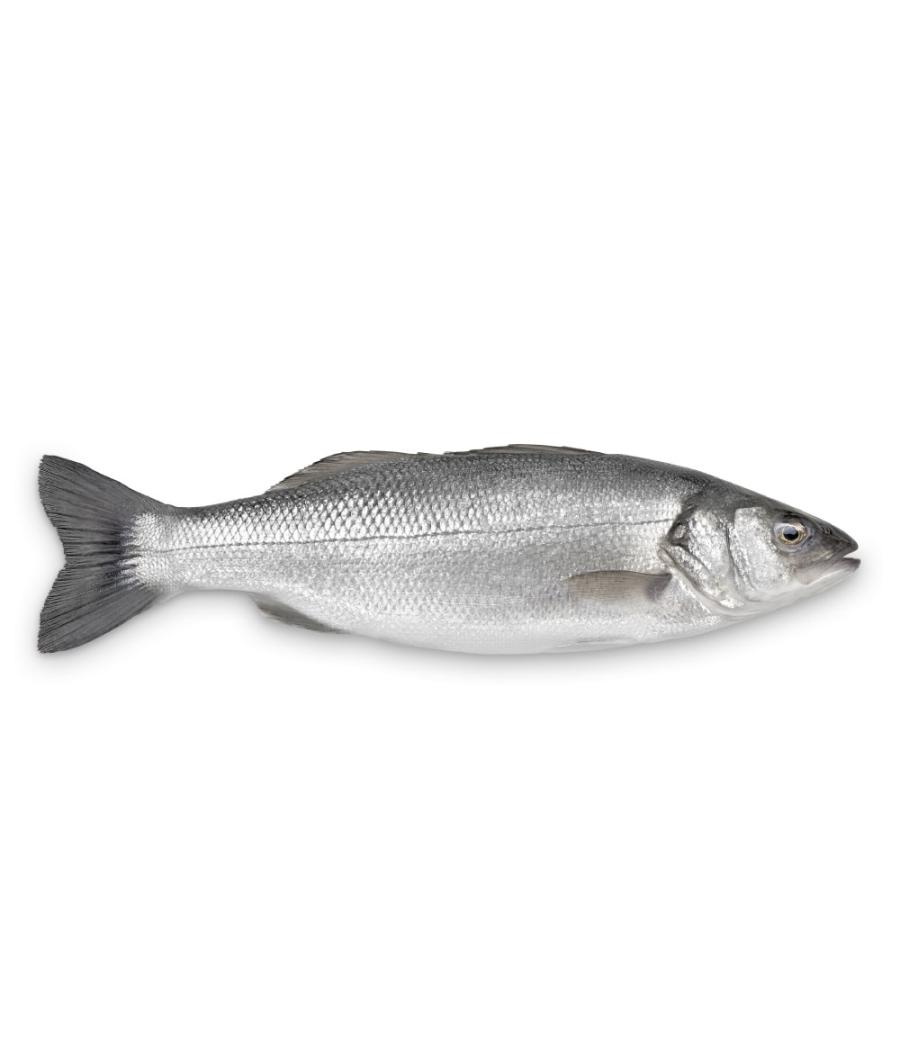 FILIERE BAR CALIBRE 600/800 ELEVAGE FRANCE PACK DE 2 FILIERE BAR CALIBRE 600/800 ELEVAGE FRANCE PACK DE 2