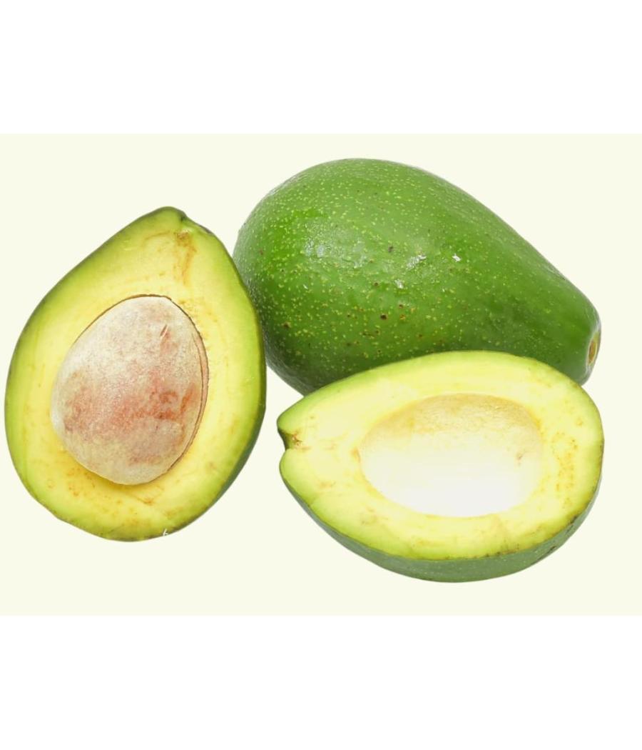 AVOCAT TROPICAL ORIGINE : BRESIL CALIBRE : 10 PACK DE 5 AVOCAT TROPICAL ORIGINE : BRESIL CALIBRE : 10 PACK DE 5