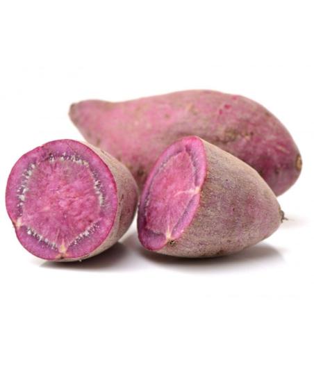 PATATE DOUCE (VIOLETTE A CHAIR VIOLETTE) ORIGINE : PORTUGAL PACK DE 6