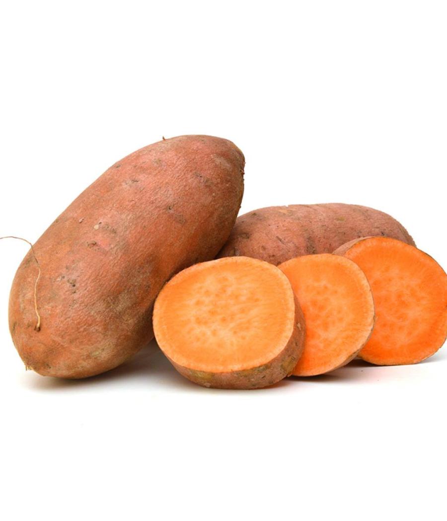 PATATE DOUCE ORIGINE : EGYPTE CALIBRE : XL PACK DE 6 PATATE DOUCE ORIGINE : EGYPTE CALIBRE : XL PACK DE 6