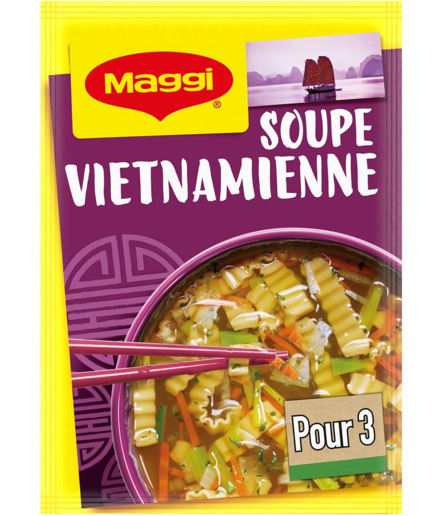 SOUPE VIETNAMIENNE DESHYDRATE MAGGI 40G SOUPE VIETNAMIENNE DESHYDRATE MAGGI 40G