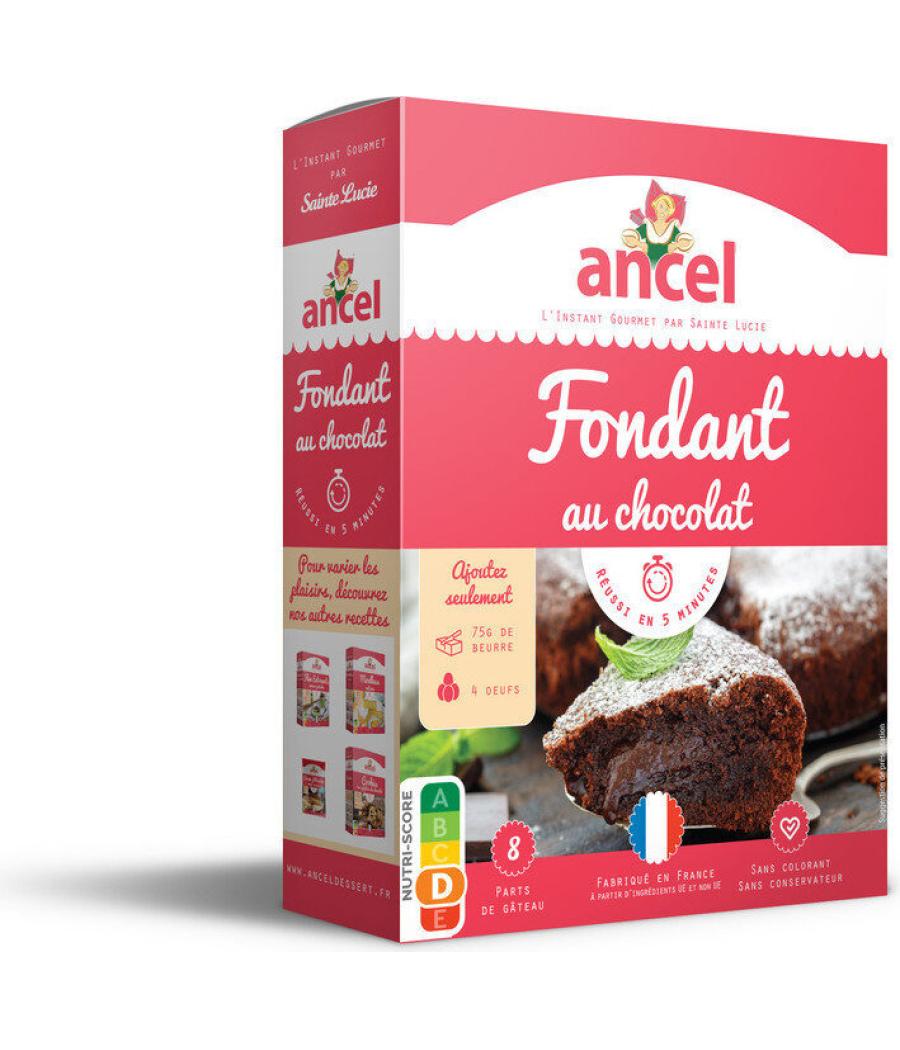 MON FONDANT AU CHOCOLAT 300 G MON FONDANT AU CHOCOLAT 300 G