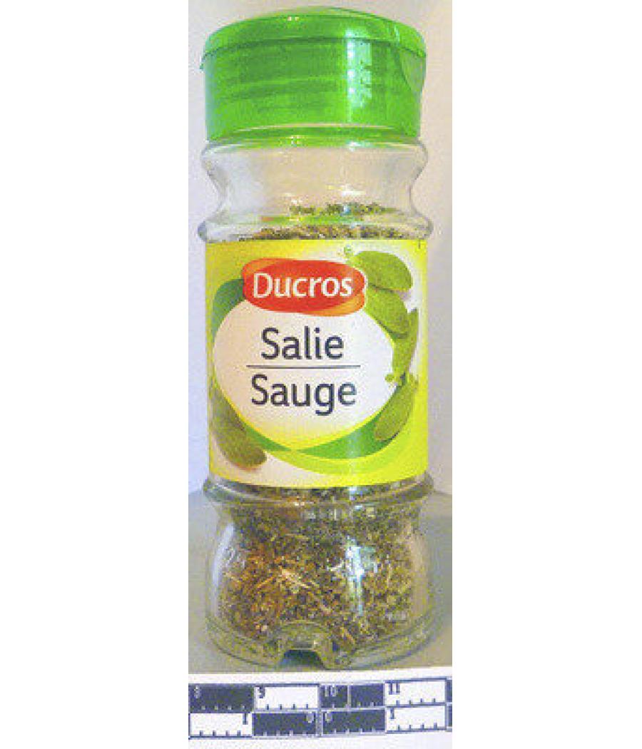 SAUGE 12 G SAUGE 12 G
