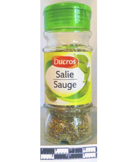 SAUGE 12 G
