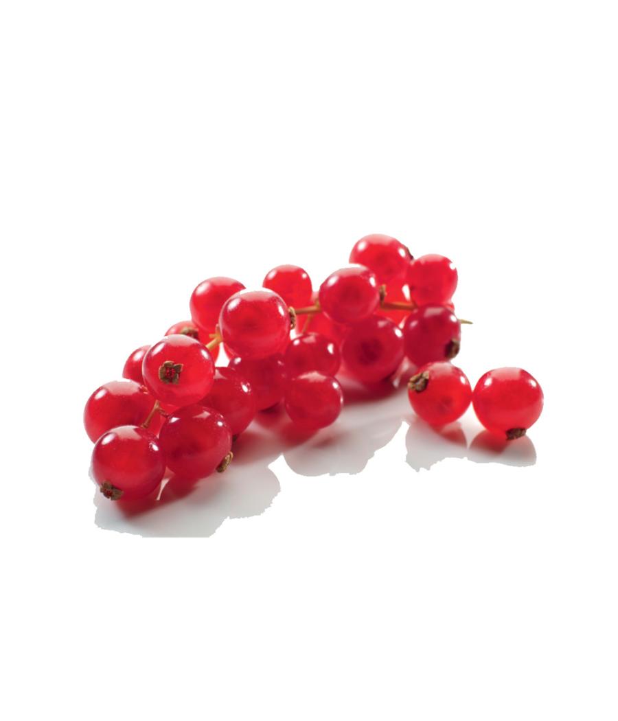 GROSEILLE ROUGE BARQUETTE 125 G CATEGORIE 1 CHILI GROSEILLE ROUGE BARQUETTE 125 G CATEGORIE 1 CHILI