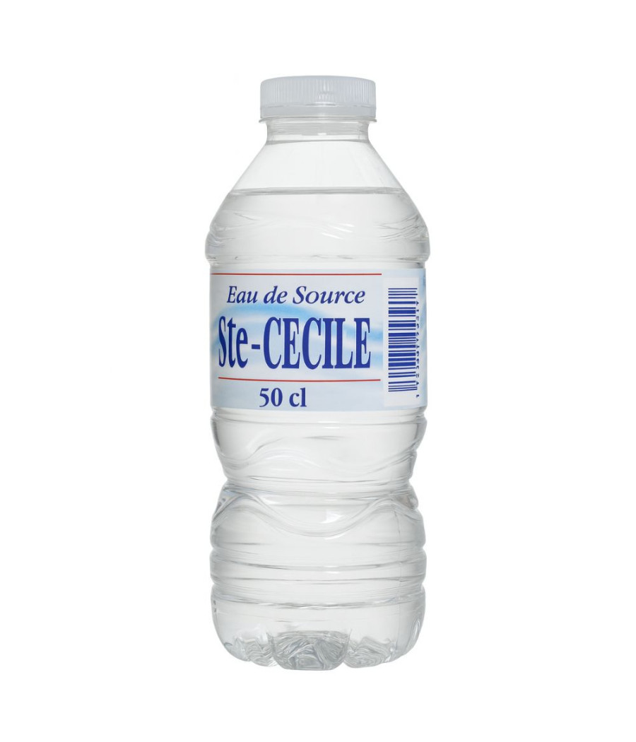 EAU DE SOURCE SAINTE-AUDE STE CECILE 50CL EAU DE SOURCE SAINTE-AUDE STE CECILE 50CL