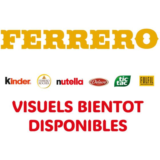 FERRERO COLLECTION ASSORTIMENT DE CHOCOLATS BOITE DE 32 PIECES 359 G