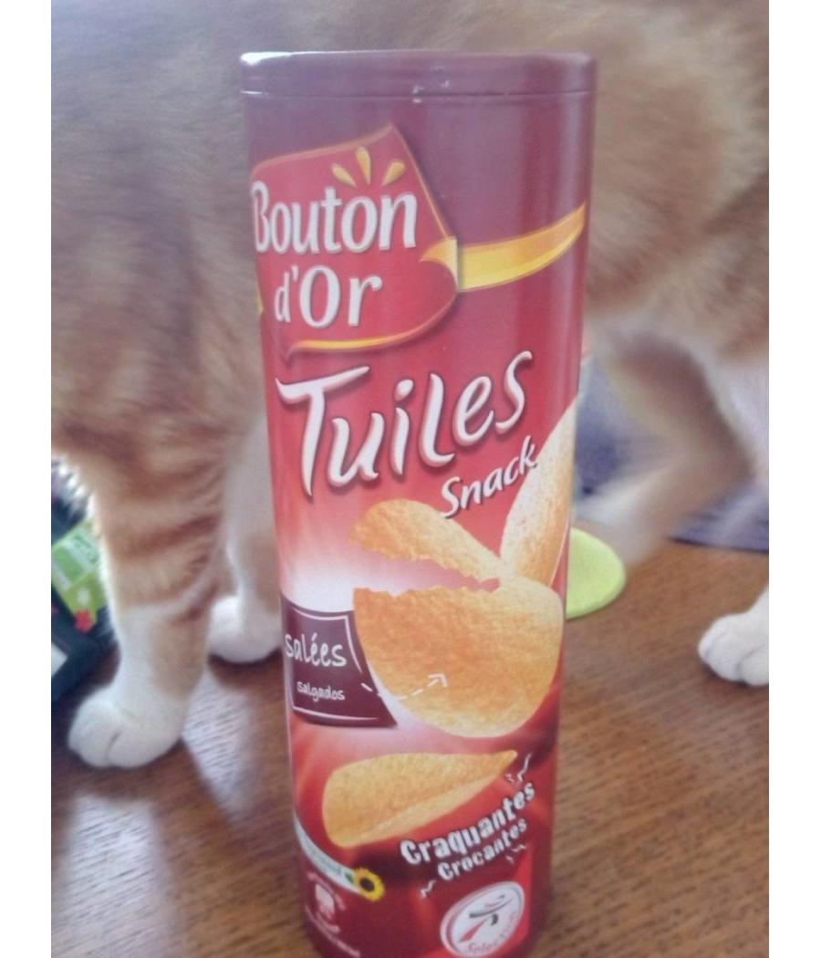 TUILES GOUT SALE BOUTON D'OR  170G TUILES GOUT SALE BOUTON D'OR  170G