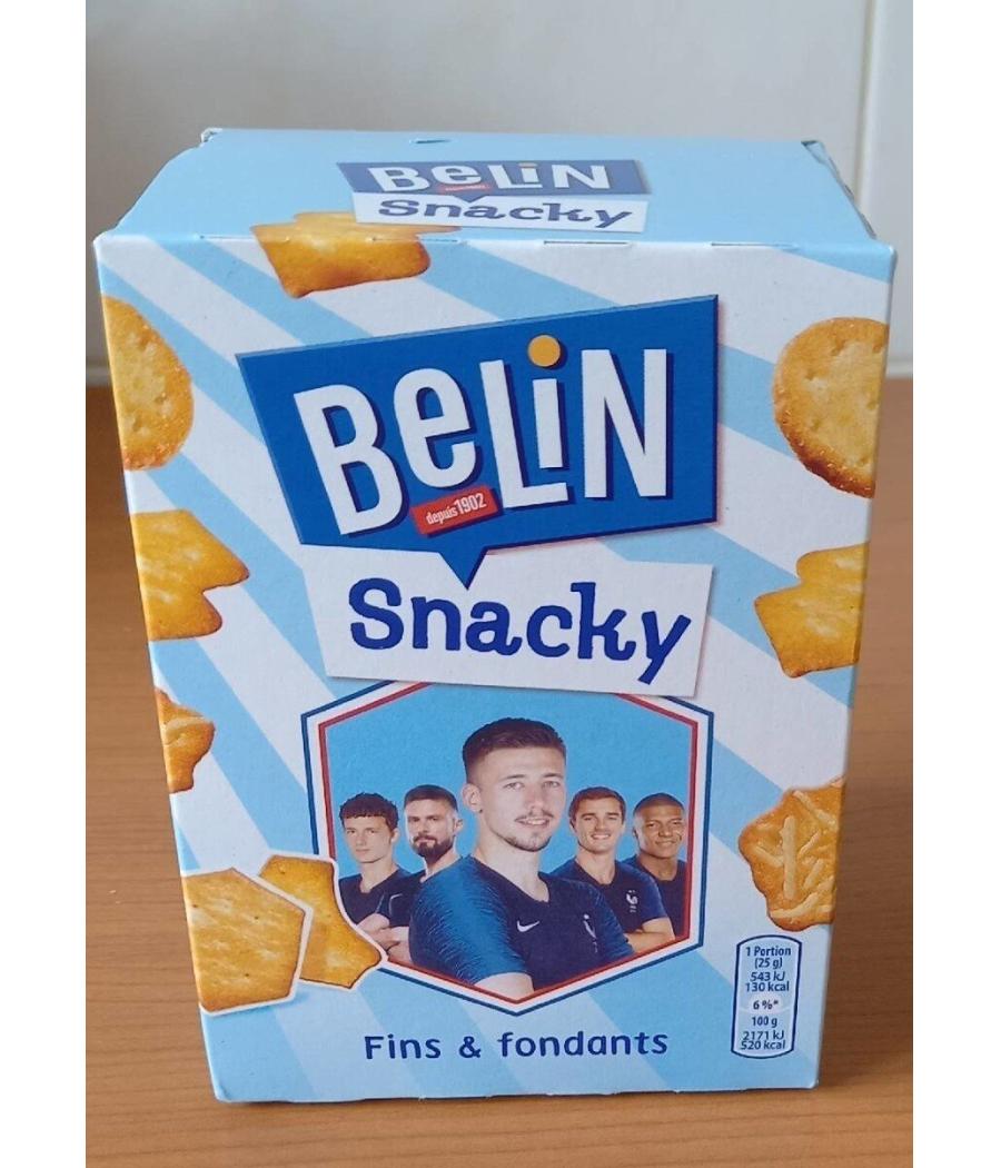 BERIN SNACKY FIN & FONDANTS 100G BERIN SNACKY FIN & FONDANTS 100G