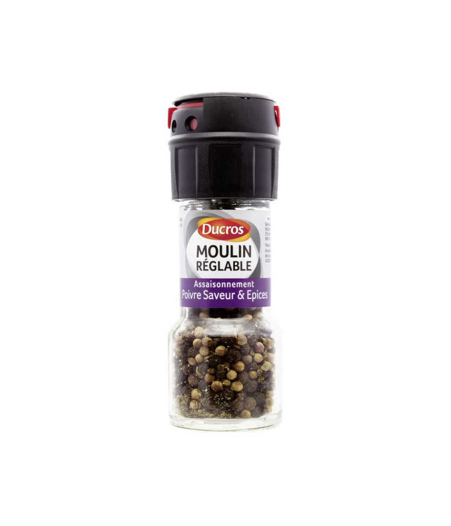 ASSAISONNEMENT POIVRE SAVEUR ET EPICES DUCROS 30G ASSAISONNEMENT POIVRE SAVEUR ET EPICES DUCROS 30G