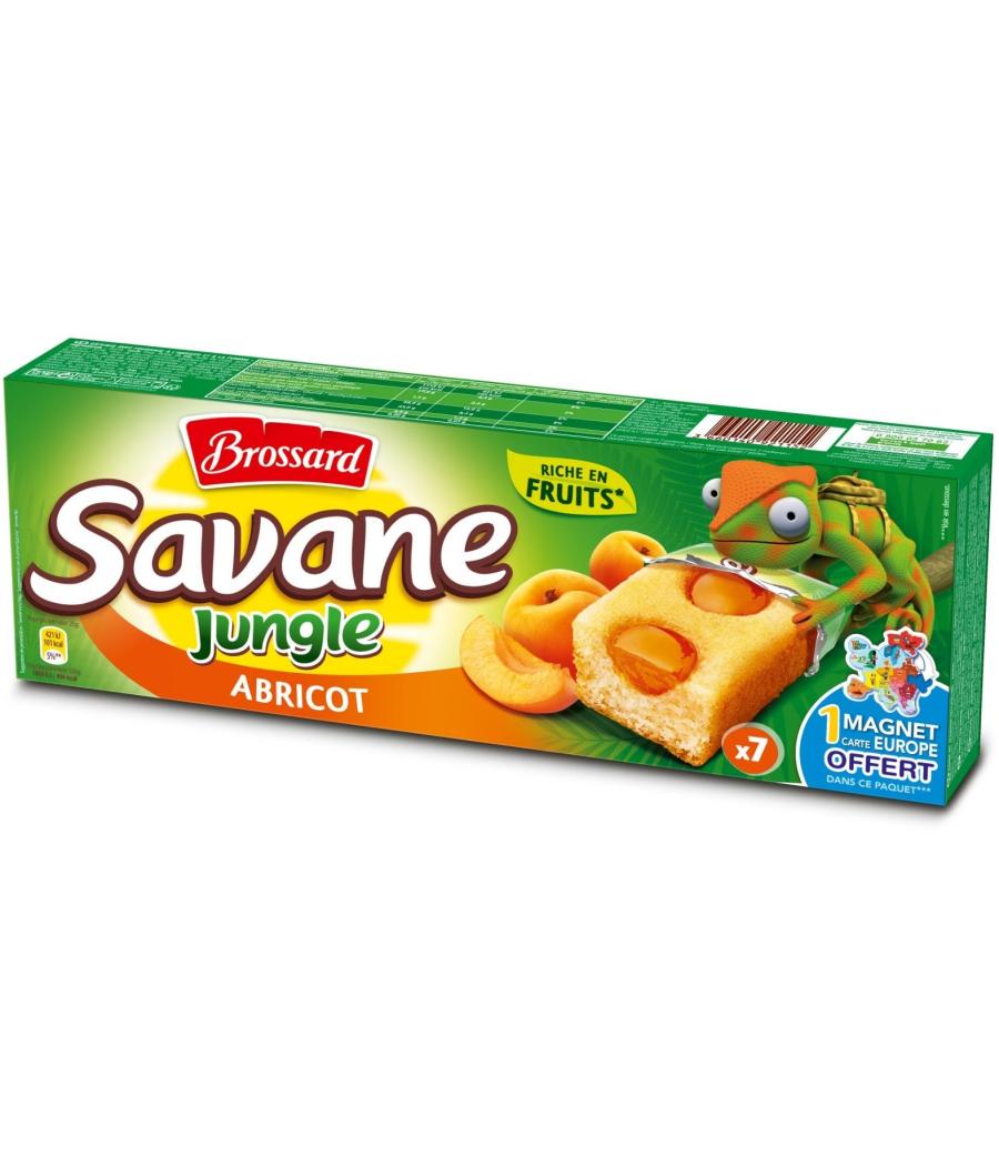 SAVANE JUNGLE ABRICOT BROSSARD 175G SAVANE JUNGLE ABRICOT BROSSARD 175G