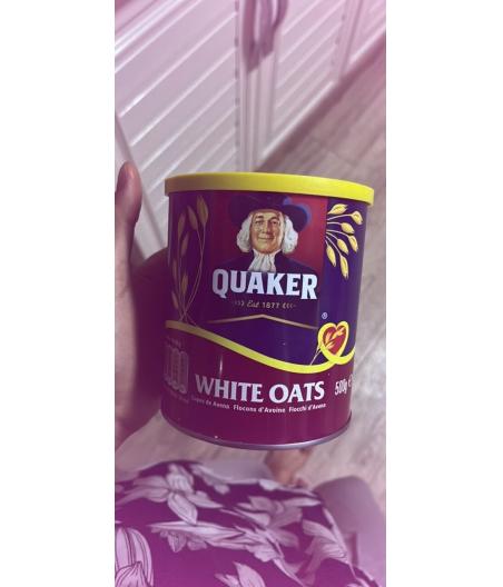 QUAKER FLOCONS D\'AVOINE 500G