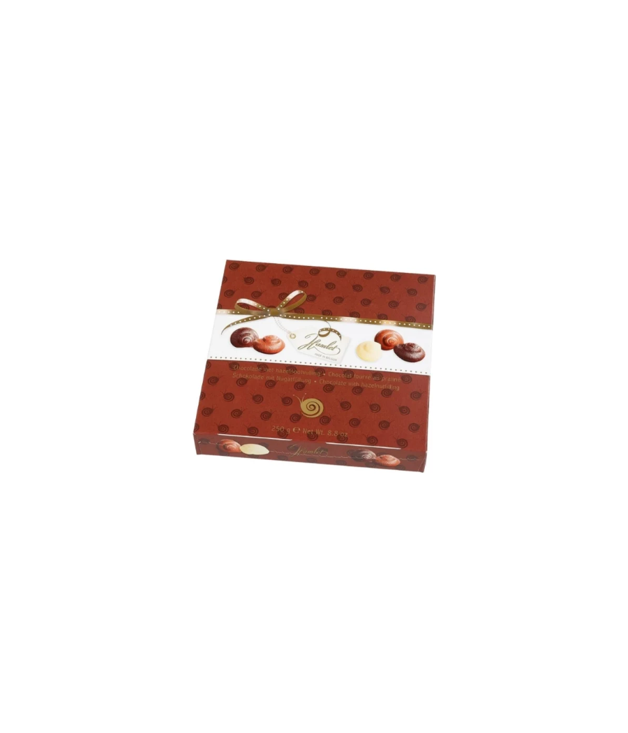 CHOCOLAT FOURRE AU PRALINE 250G CHOCOLAT FOURRE AU PRALINE 250G