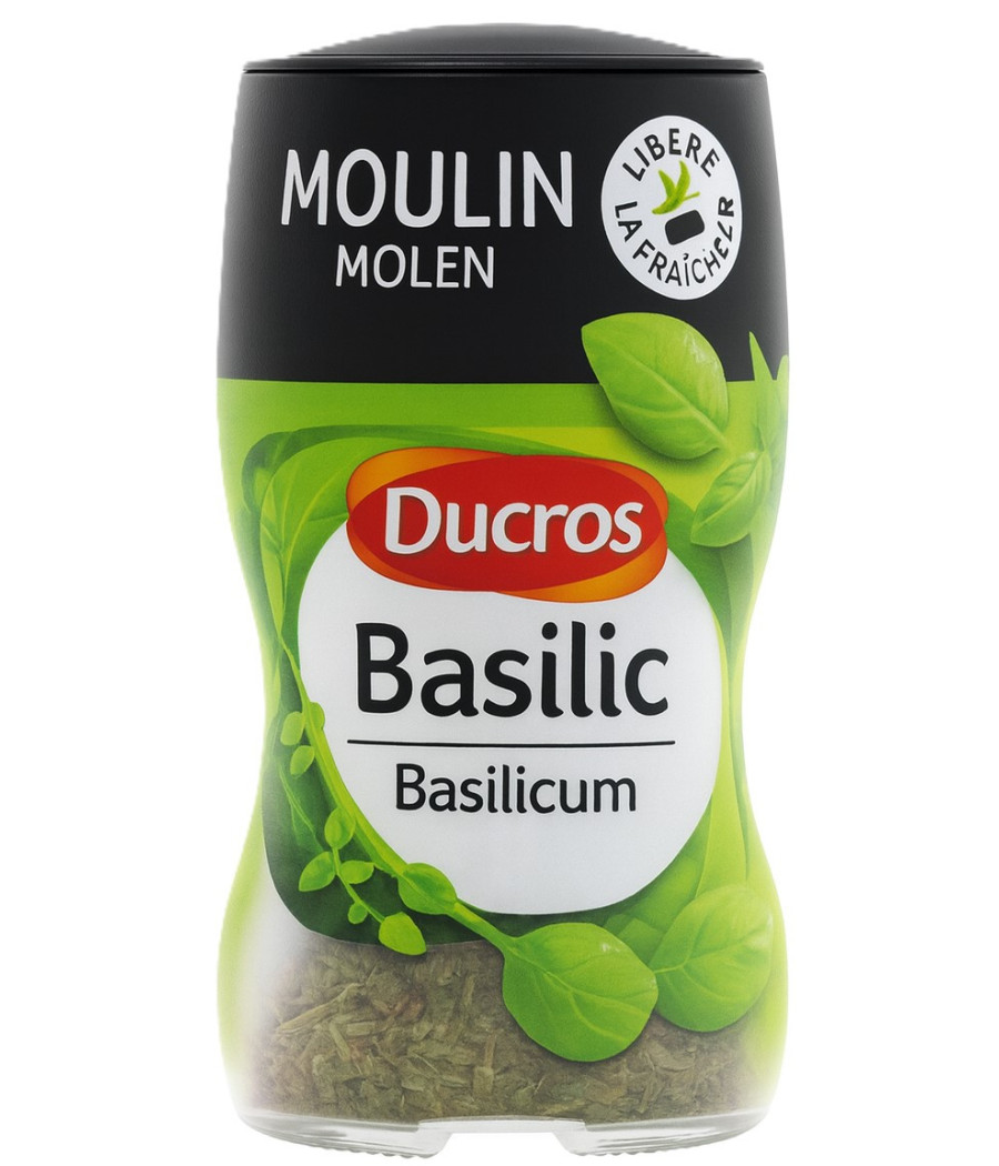 BASILIC DUCROS 6G BASILIC DUCROS 6G