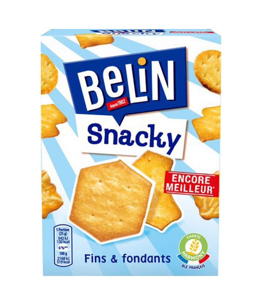 BERIN SNACKY FIN & FONDANTS 100G BERIN SNACKY FIN & FONDANTS 100G