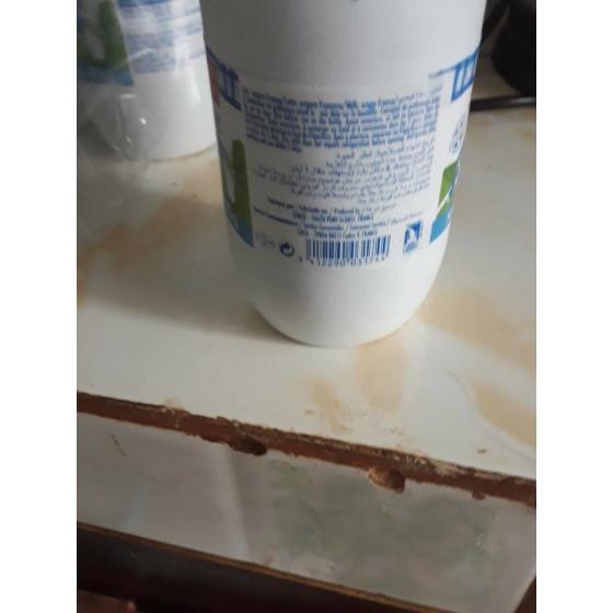 LE LAIT