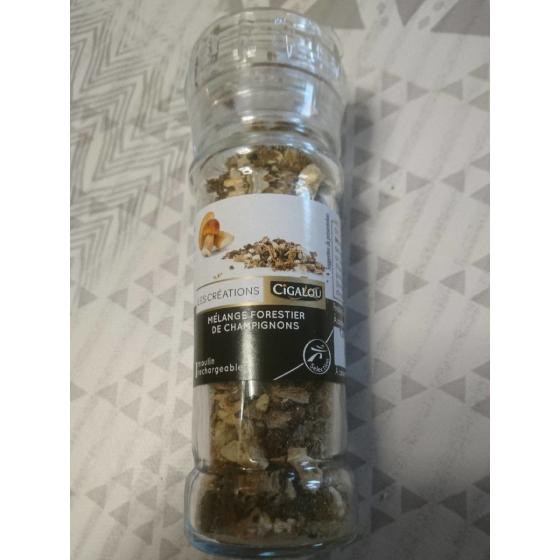 MELANGE FORESTIER DE CHAMPIGNONS