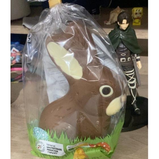 LAPIN EN CHOCOLAT