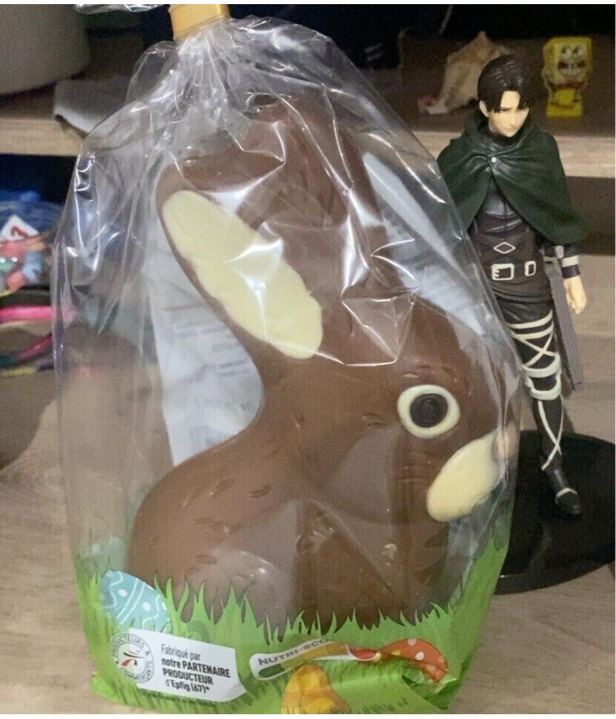 LAPIN EN CHOCOLAT LAPIN EN CHOCOLAT