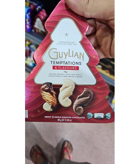 SELECTION DE CHOCOLATS BELGES FOURRE