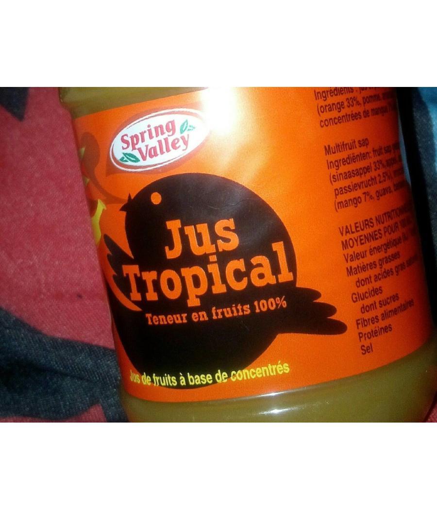 JUS DE FRUITS TROPICAL JUS DE FRUITS TROPICAL