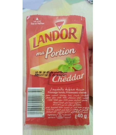 FROMAGE FONDU CHEDDAR