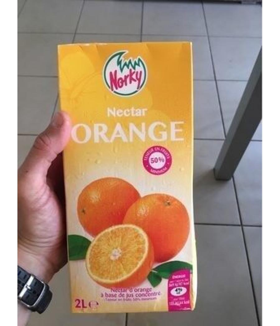 JUS DE FRUITS NECTAR D’ORANGE (2 L) JUS DE FRUITS NECTAR D’ORANGE (2 L)