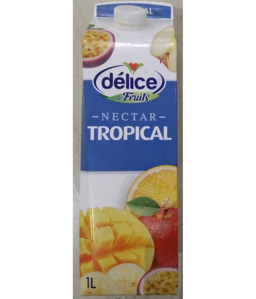 NECTAR TROPICAL DELICE DE FRUITS 1L NECTAR TROPICAL DELICE DE FRUITS 1L