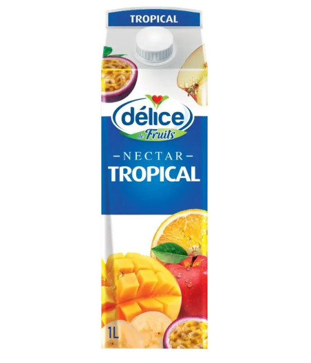 NECTAR TROPICAL DELICE DE FRUITS 1L